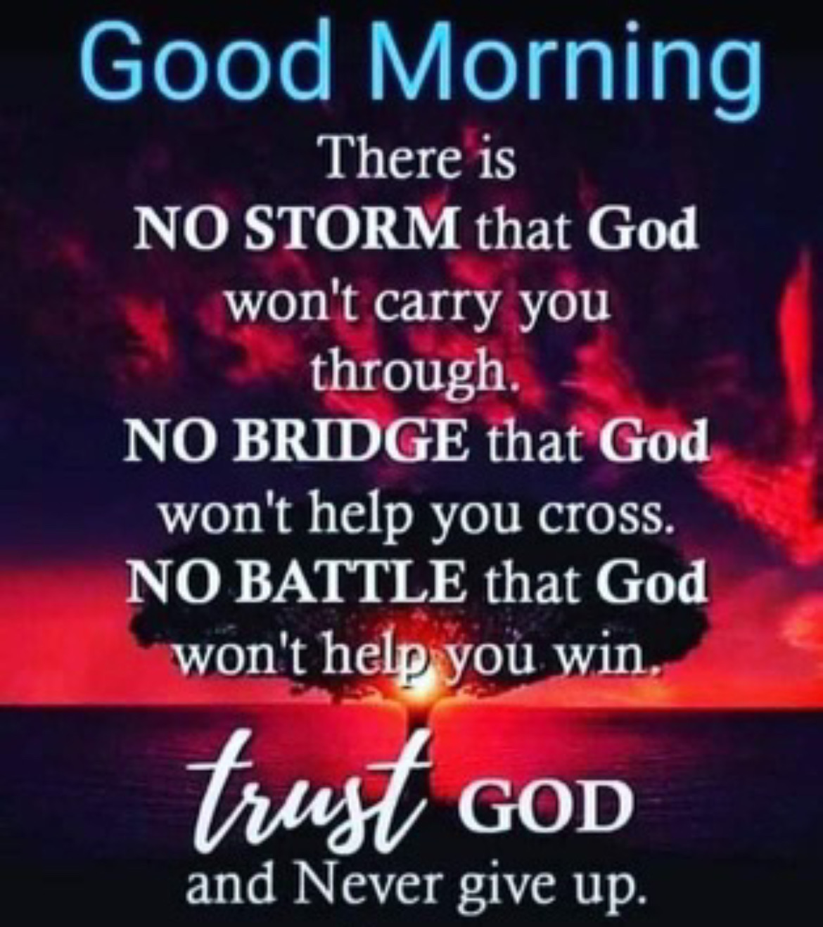 9C4C0CBC-9D90-4B9C-8E71-311894F5EAF1